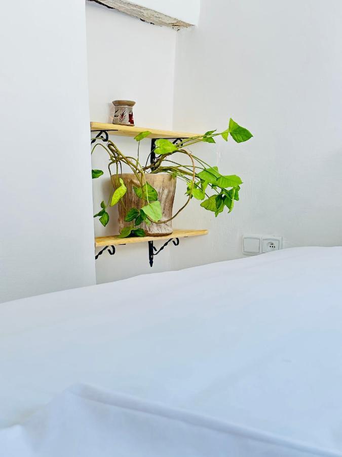 Ocean View House Apartment Essaouira Bagian luar foto